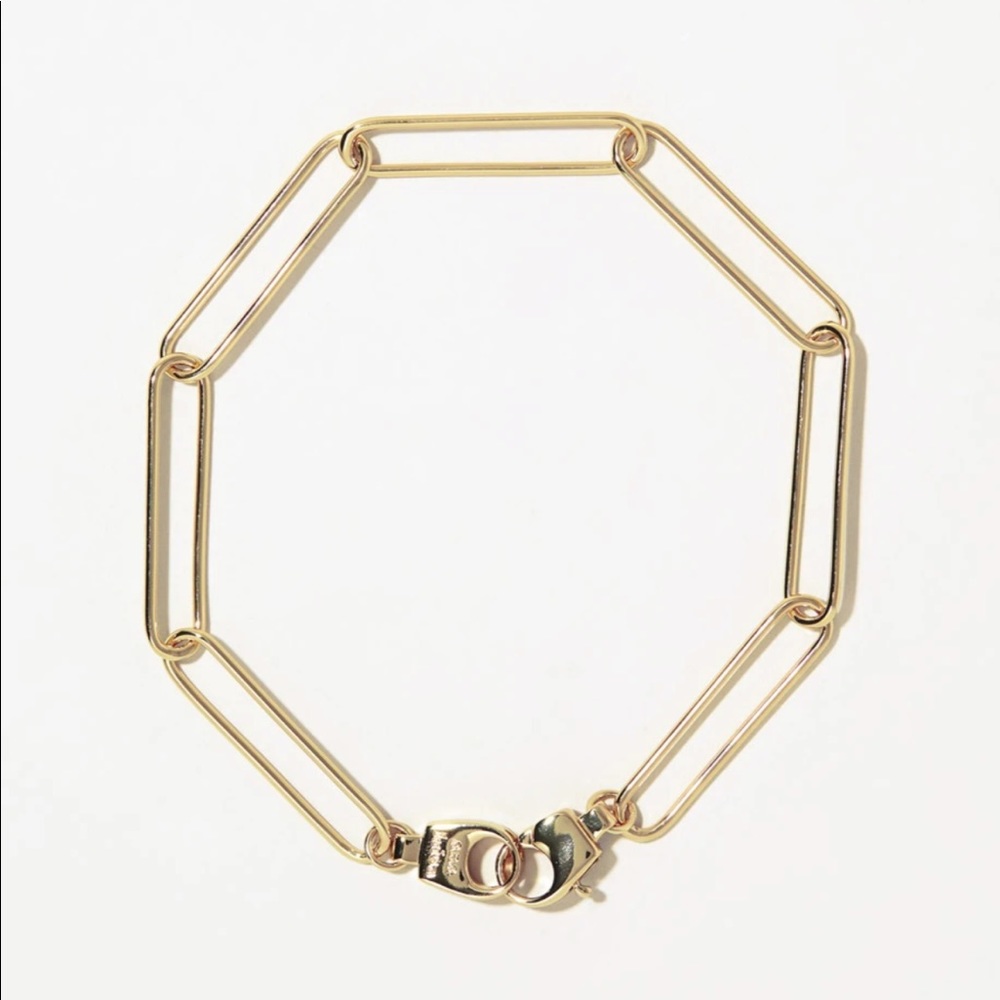Ana Luisa Paperclip Chain bracelet